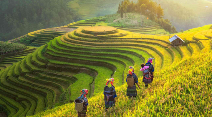 Sapa Vietnam Travel:,