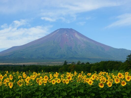 Discover the Beauty of Mount Fuji