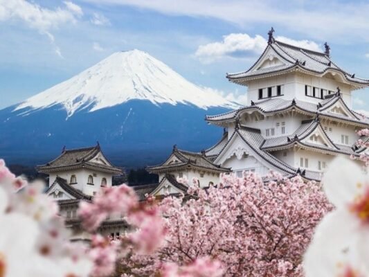 Japanese Cherry Blossom Festival