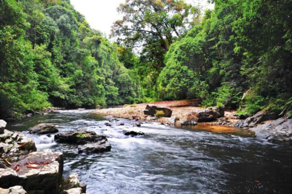 Taman-Negara-Malaysia