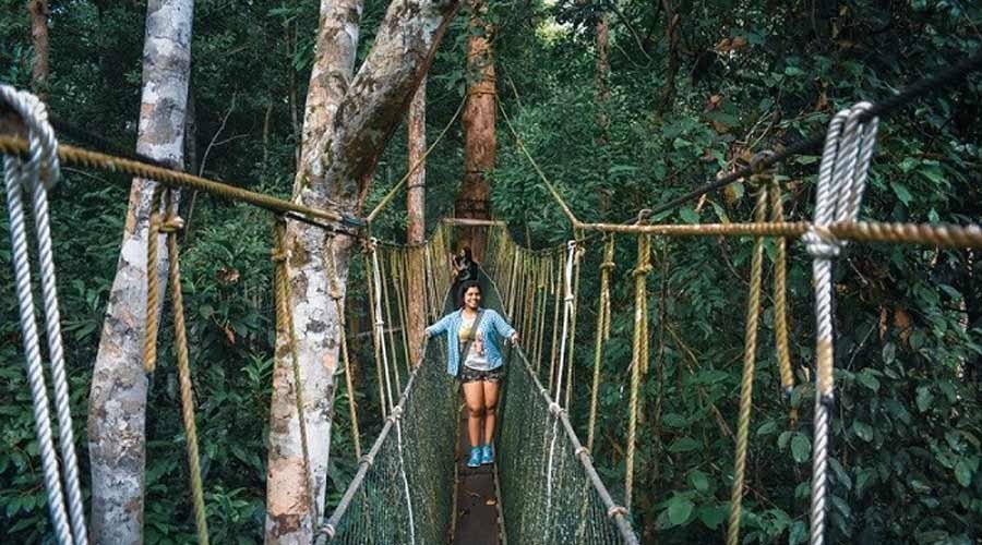 Taman-Negara-Malaysia