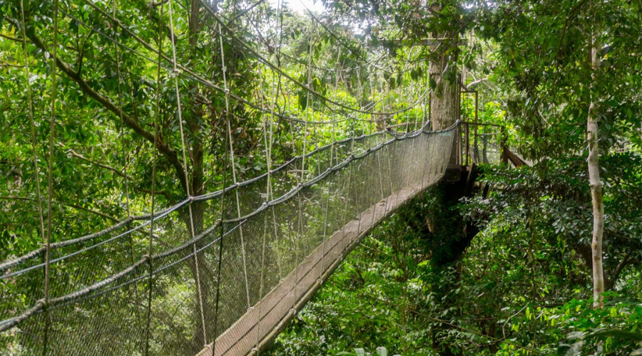 Gunung-Mulu-National-Park-Malaysia